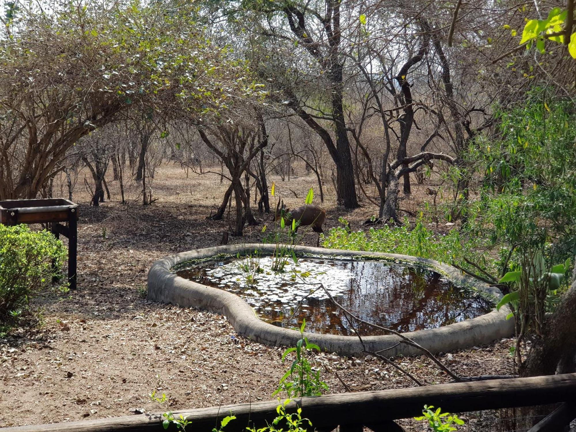 Homebase Kruger Marloth Park Luaran gambar