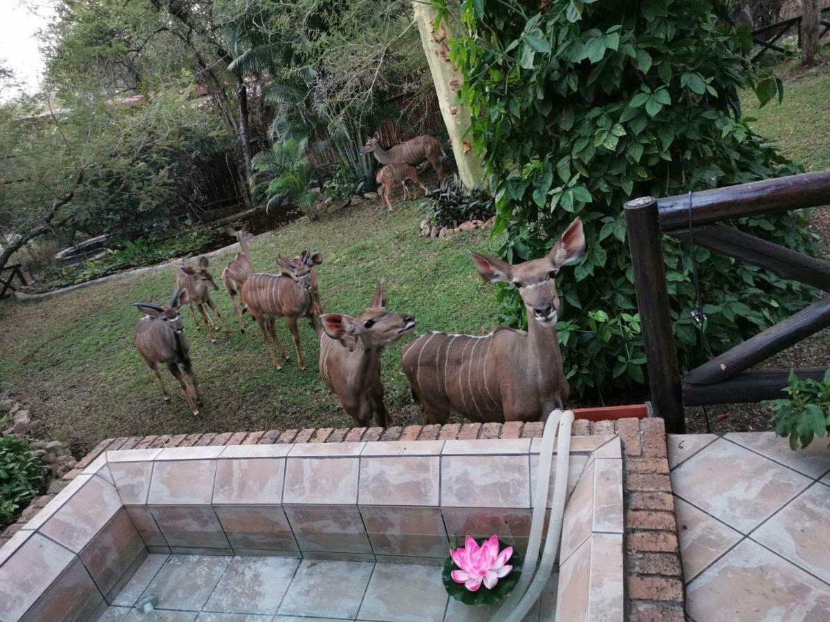 Homebase Kruger Marloth Park Luaran gambar